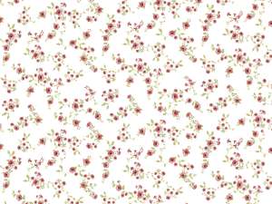 AP03 FLORALIA Rose