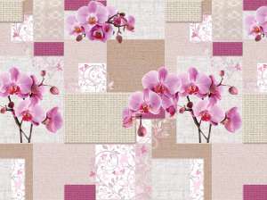 AP05 ORCHIDEE Lin