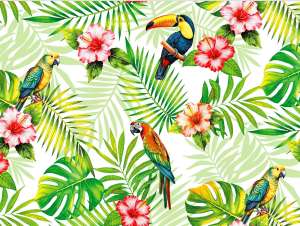 AG15 TROPICANA Multi