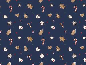 NSA28 GINGERBREAD Bleu