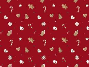 NSA29 GINGERBREAD Rouge