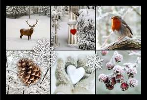 TPPAIN-02 VIGNETTES Hiver